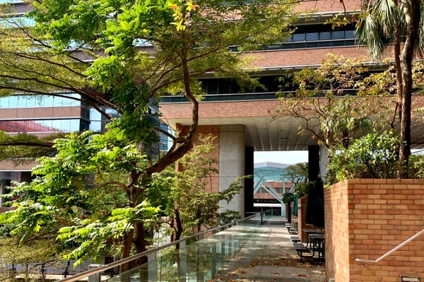 香港嶺南大學應用心理學課程補習