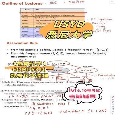 悉尼大學數據科學研究生