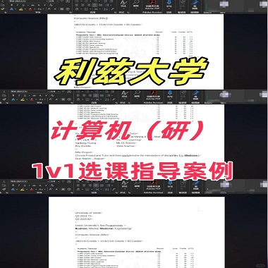 利茲大學計算機研究生